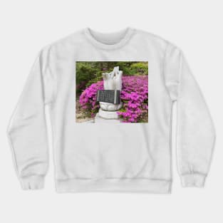 Stone statue Crewneck Sweatshirt